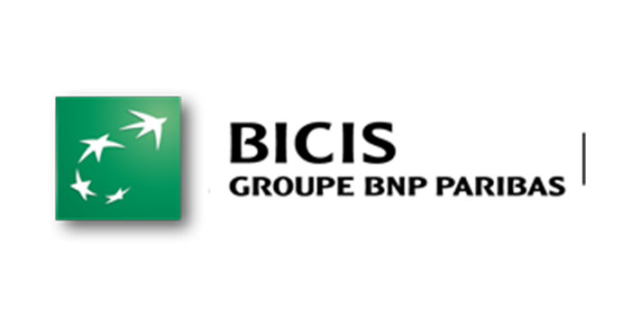 bicis copie
